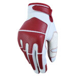 Motorcycle Gloves
