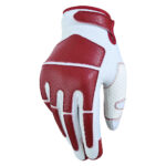 Motorcycle Gloves